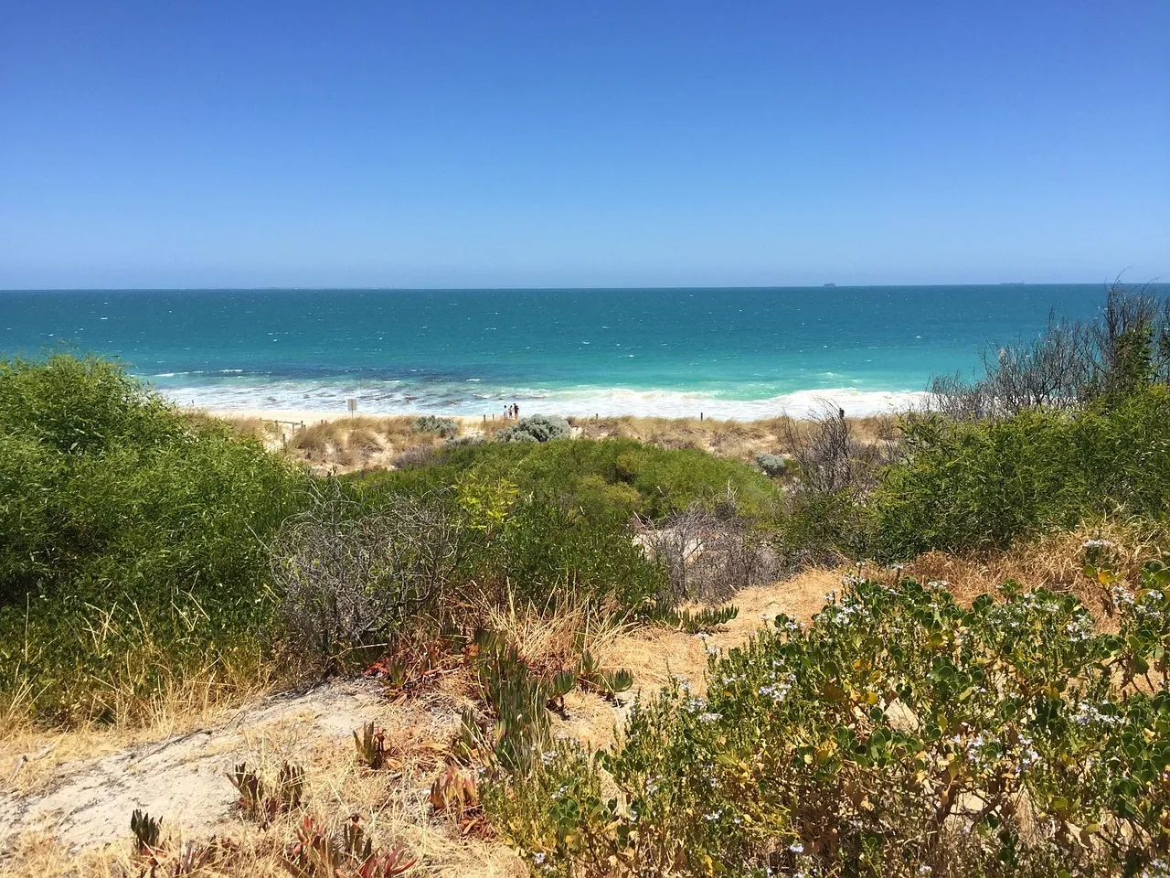 Low coastal dune scrub in the foreground and a turquoise Indian Ocean under a clear blue sky.