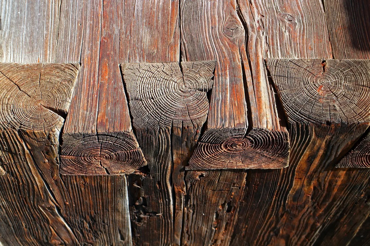 Weathered log ends interlocking at the corner of an old timber wall, each showing its growth rings