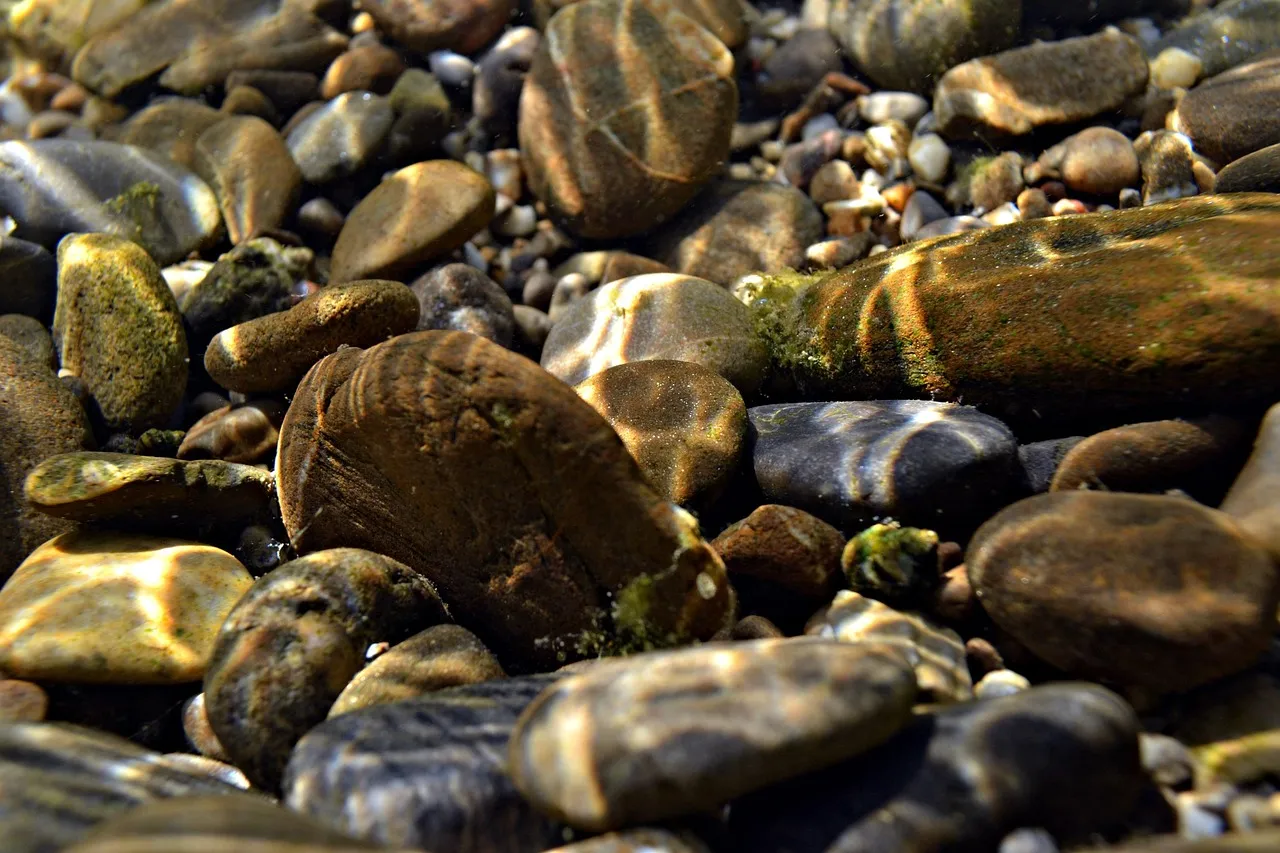 Close view of smooth brown and grey pebbles under clear water, patterned by light