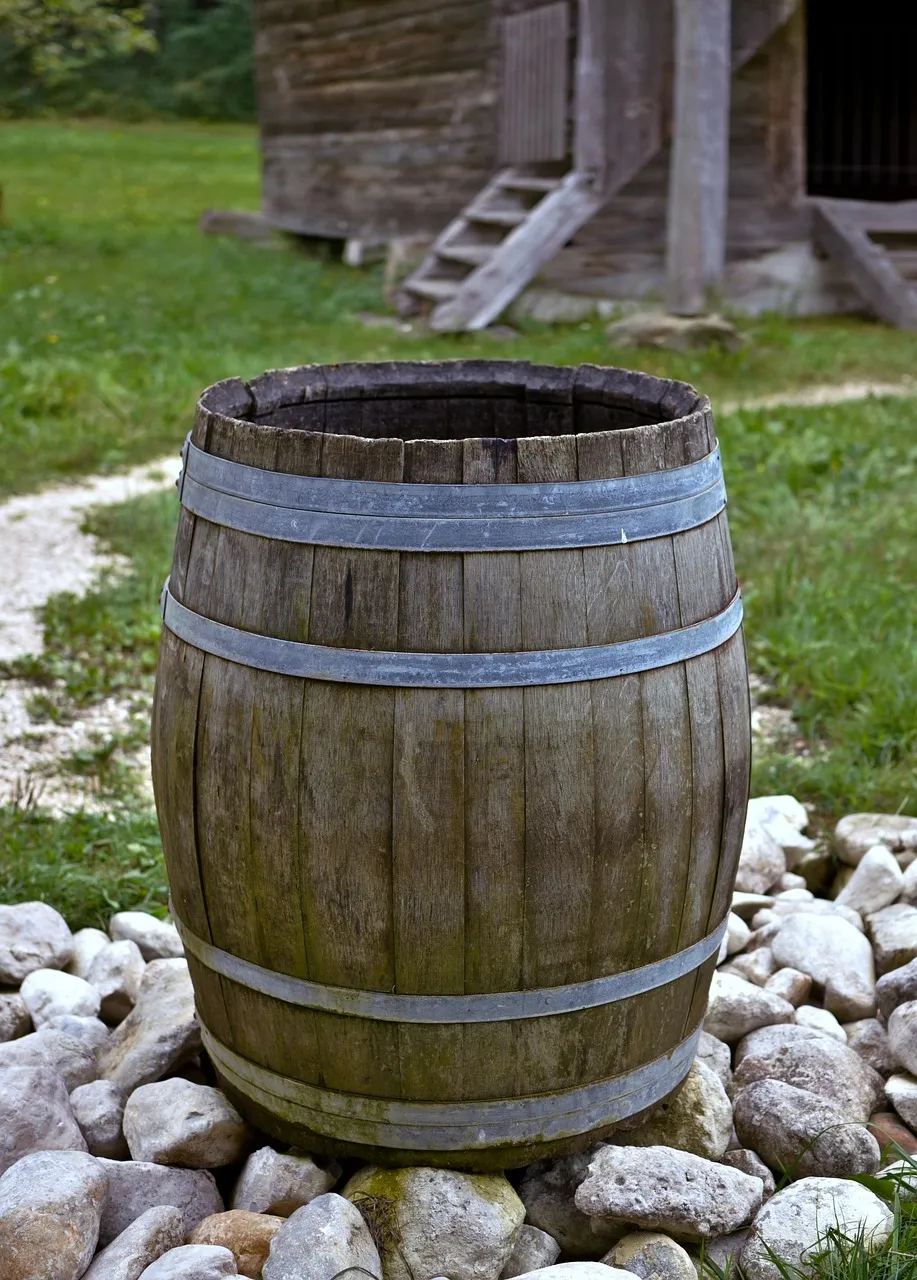 An open wooden barrel with metal hoops standing on a bed of stones, with grass and a timber building behind