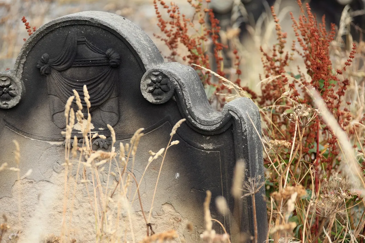 A weathered stone headstone with a carved drape and two rosettes, half hidden by dry grasses and red seed heads