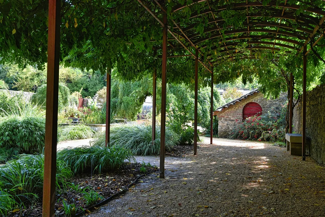 A long pergola of steel posts and arched rails covered in a climbing vine, over a gravel path beside garden beds and a small stone building.