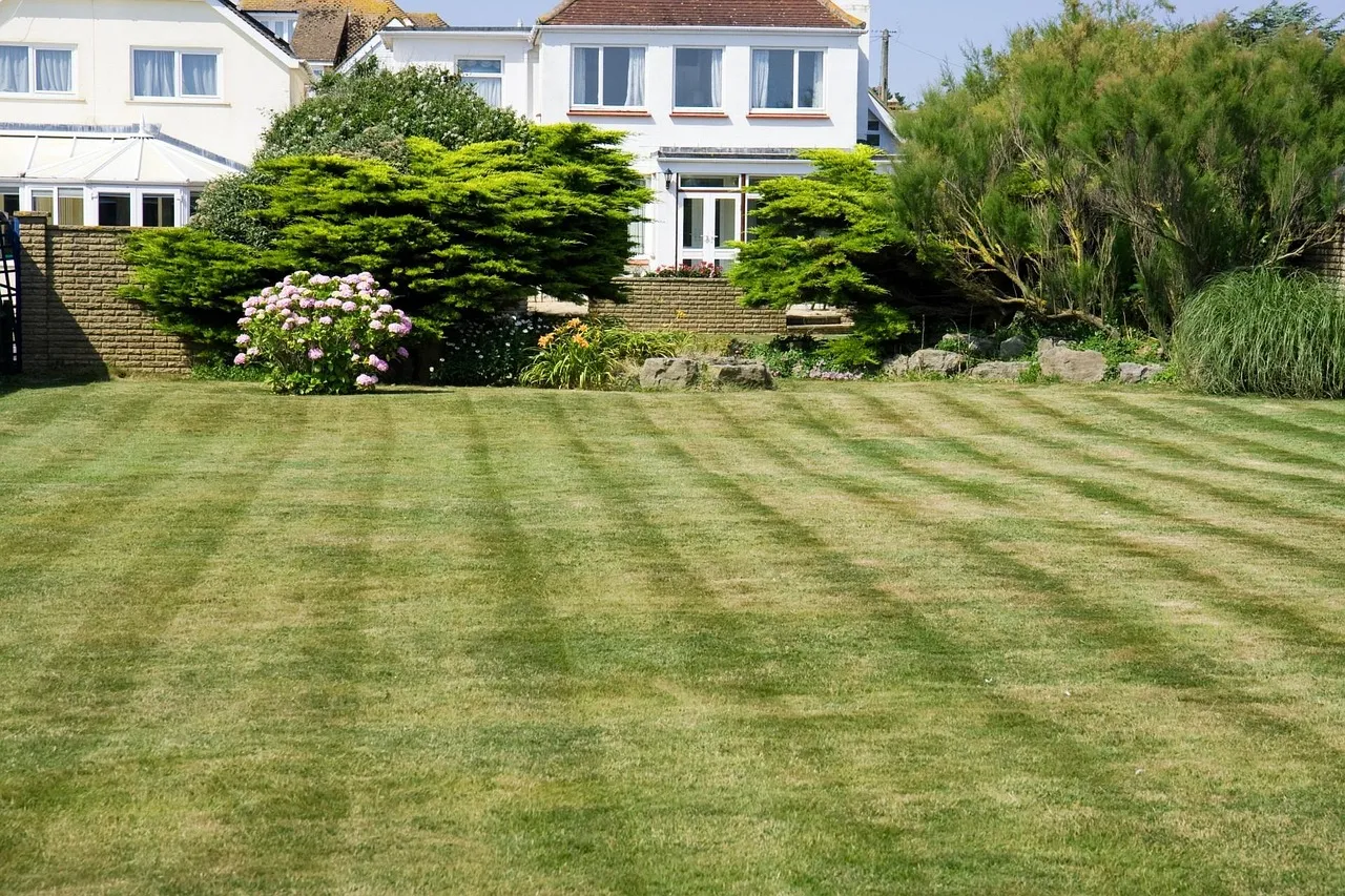 A large back lawn mown in alternating light and dark green stripes, with shrubs, a flowering hydrangea and a brick garden wall behind it, and white two-storey houses beyond.
