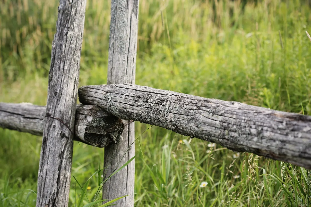 Two weathered grey timber rails crossing between upright posts of an old fence, with long green grass behind.