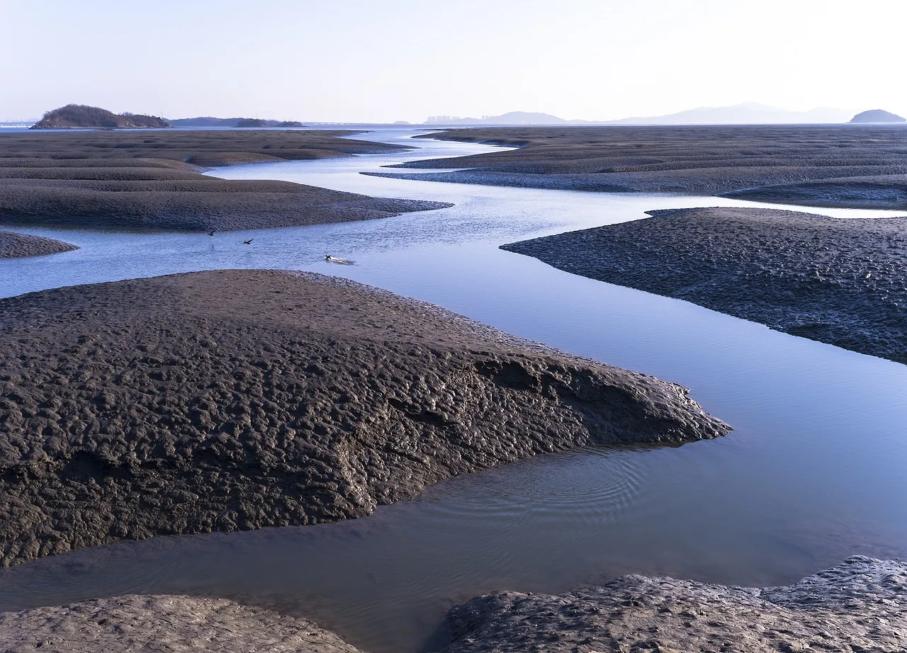 Wide mudflats at low tide, cut by winding channels of still water under a pale sky.