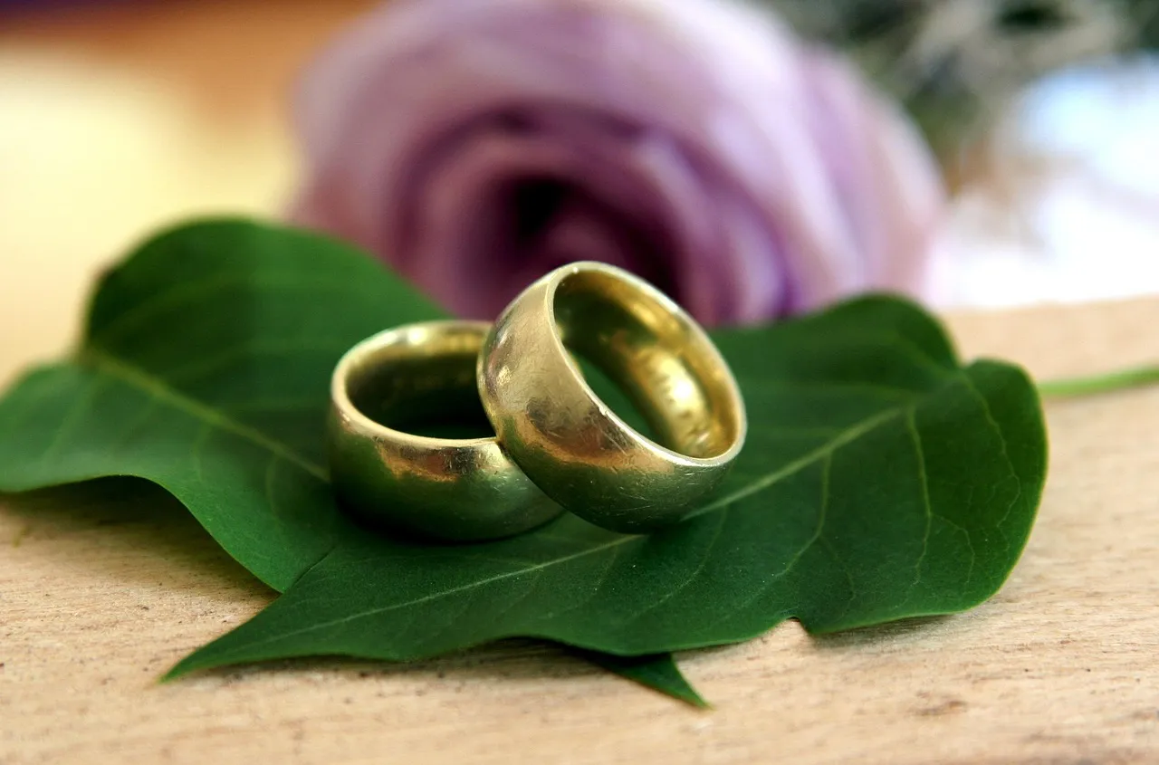 Two plain gold wedding bands resting on a green leaf, with a mauve rose out of focus behind
