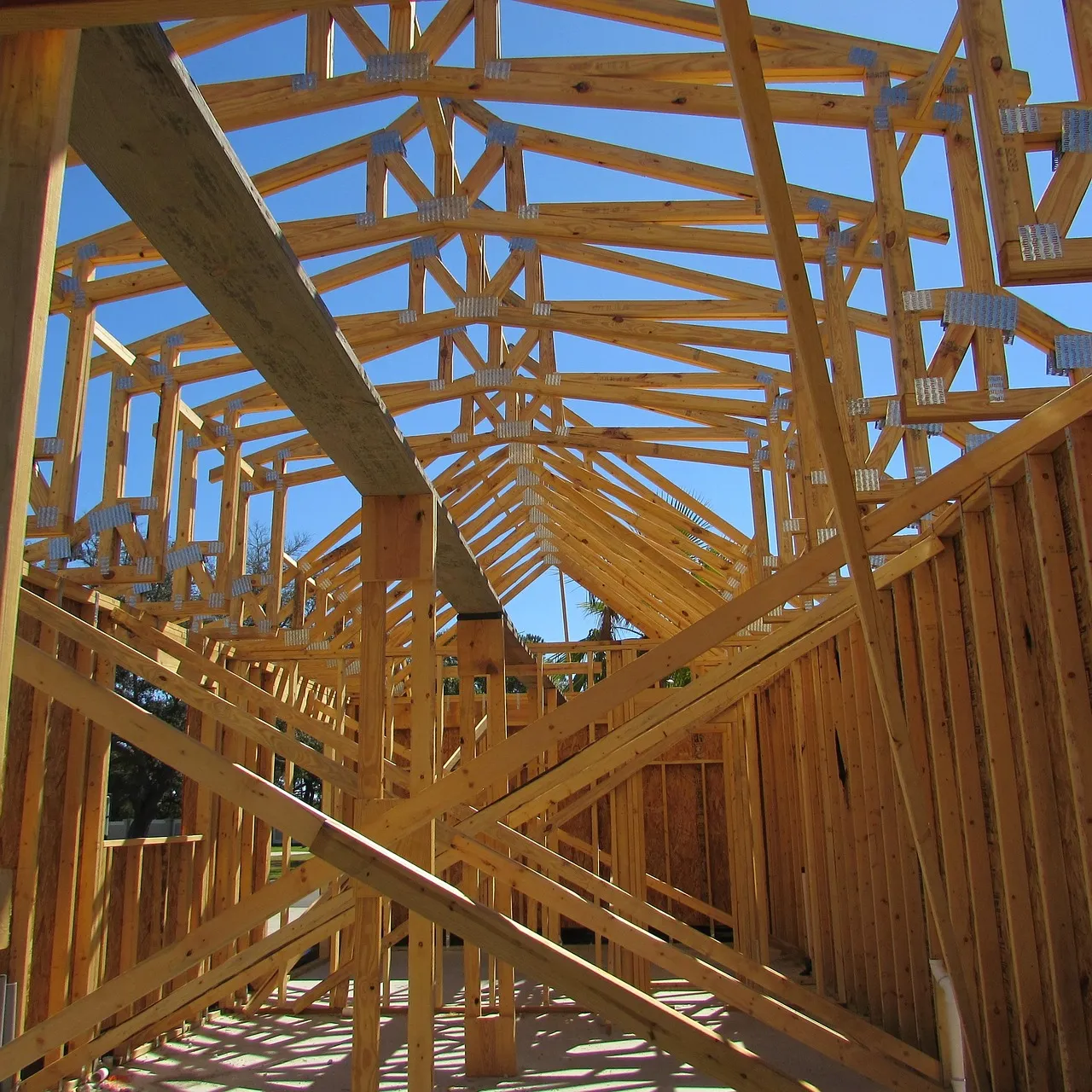 Looking up through the timber wall frames and roof trusses of a house under construction, against a blue sky