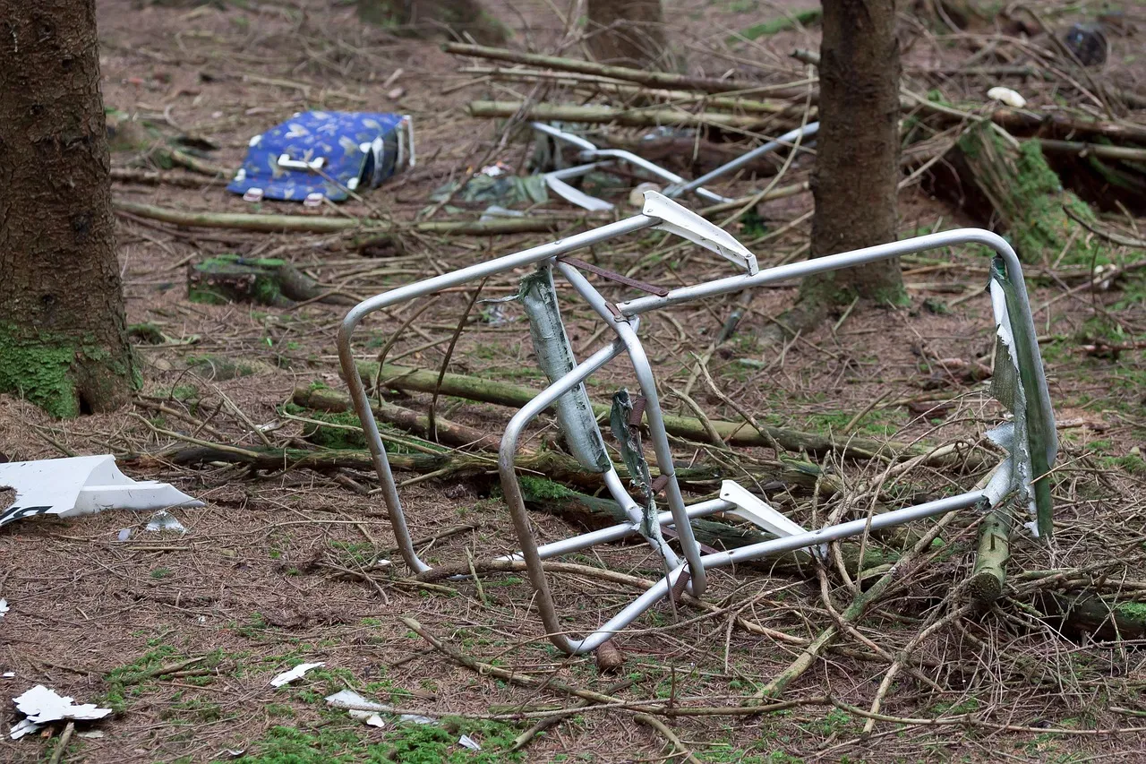 A broken metal chair frame and scattered rubbish lying on a forest floor among pine trees