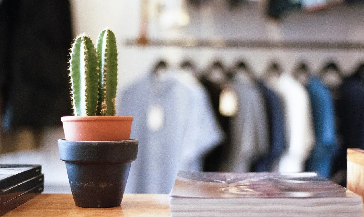 A small potted cactus on a wooden shop counter beside a stack of magazines, with a rack of shirts out of focus behind