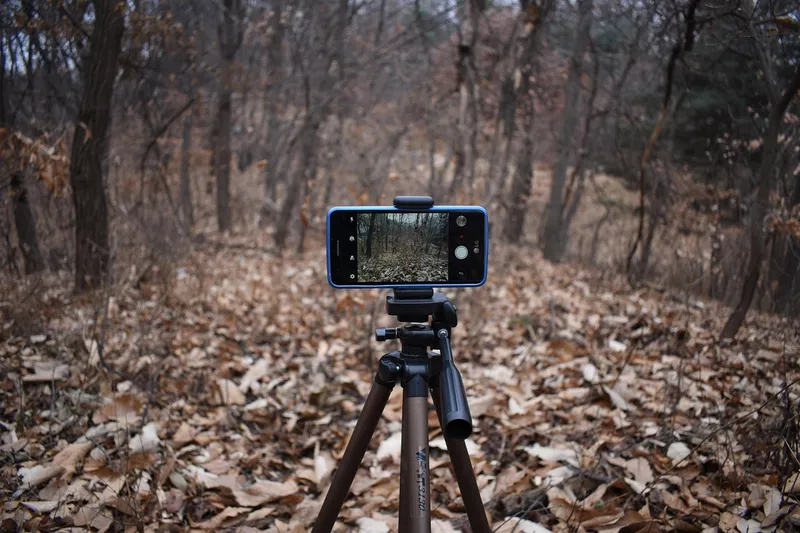 A phone on a small tripod among fallen leaves in a bare winter wood, its screen showing the shot it is framing.