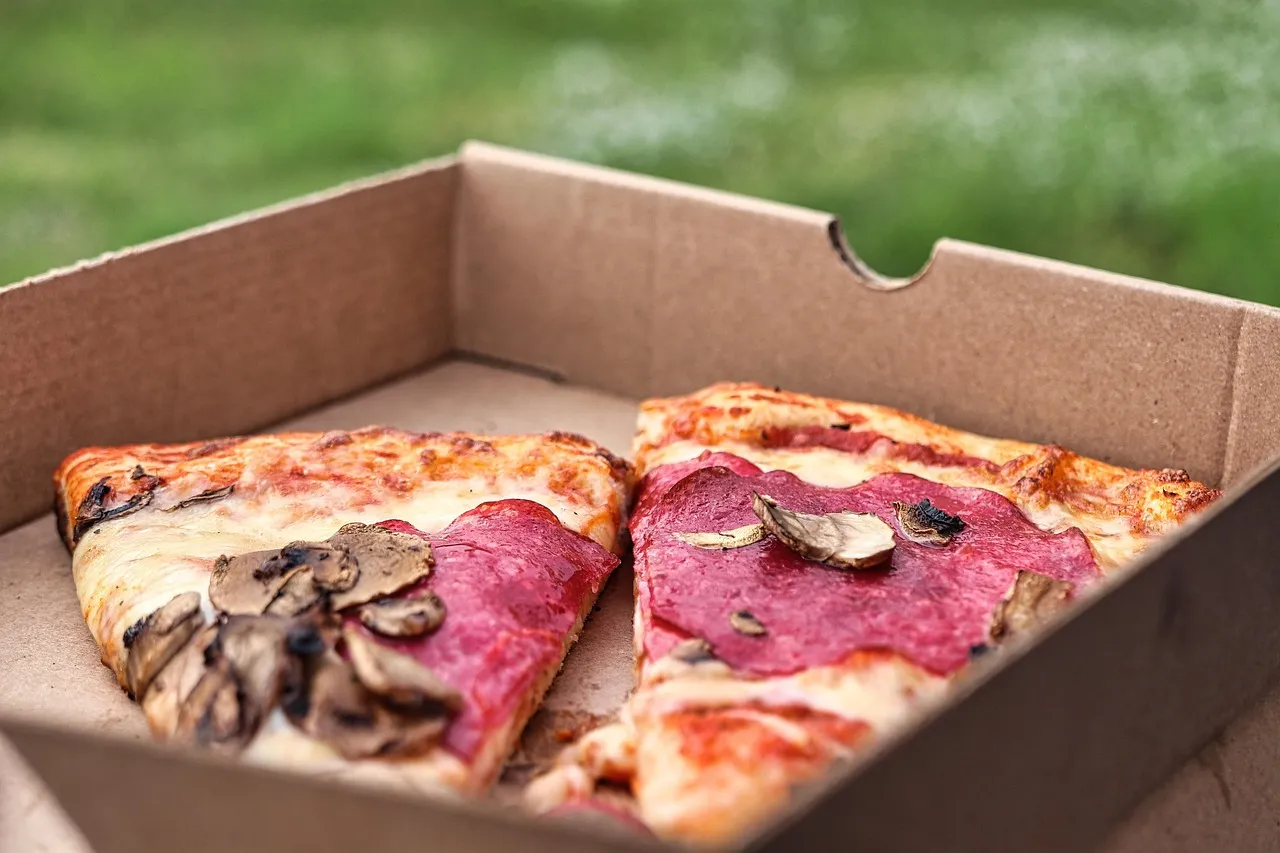 Two leftover slices of pizza, both with mushrooms and salami, sitting in an open plain cardboard box outdoors, with grass blurred behind