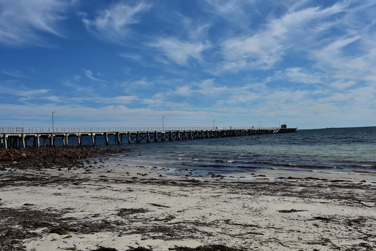 A long jetty on timber piles seen from a pale sandy beach strewn with dark seaweed, with small waves running in under a sky of thin cloud