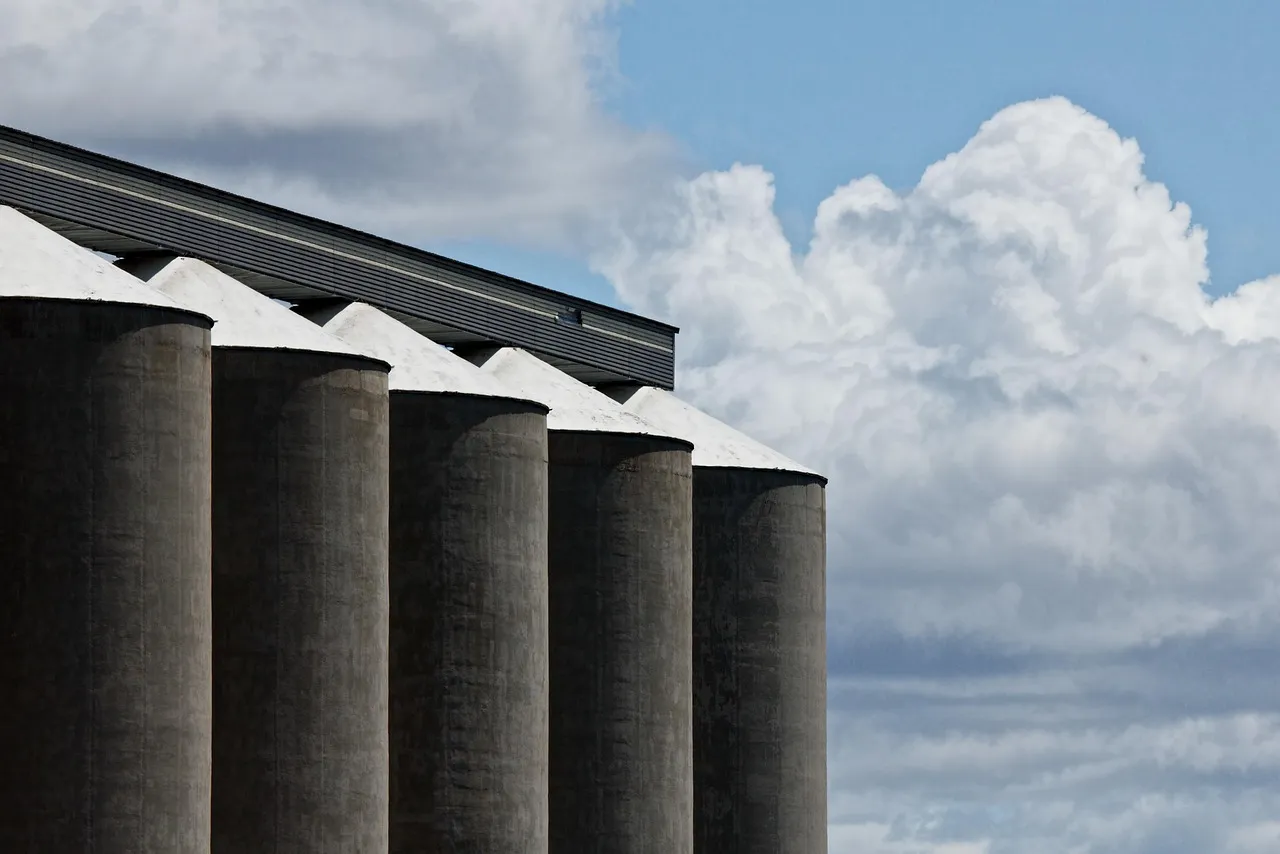 A row of tall concrete grain silos with pale conical tops beneath a long roof, against white cloud and blue sky