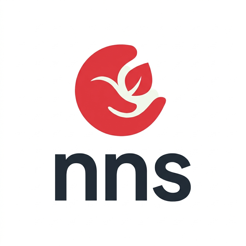 nns.com.au logo