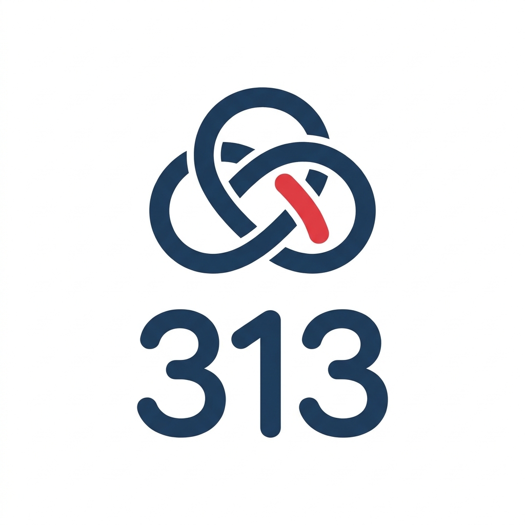 313.au logo