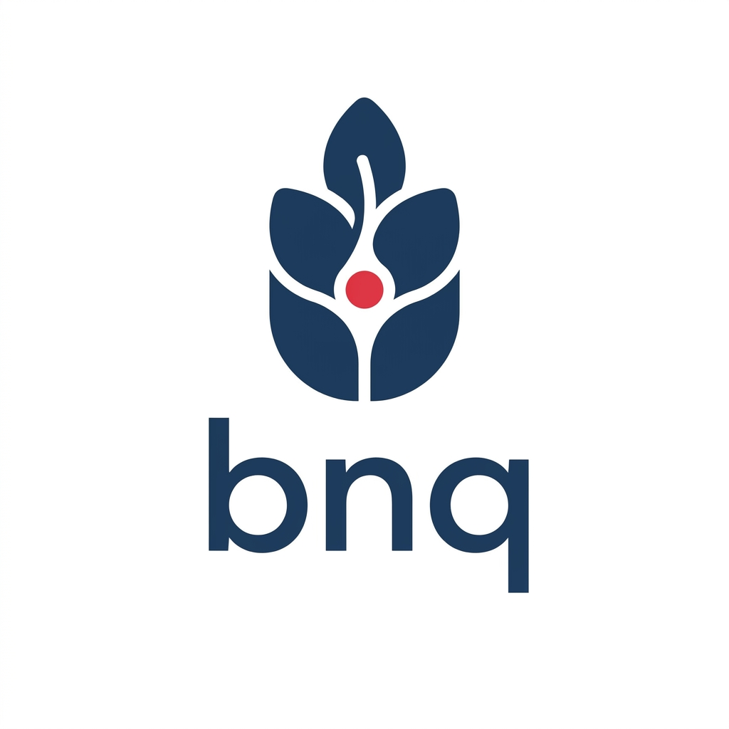 bnq.com.au logo