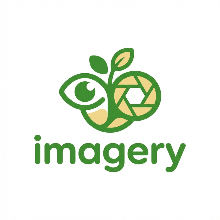 Imagery